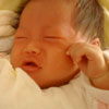 gal/New Born/_thb_P1000206.jpg